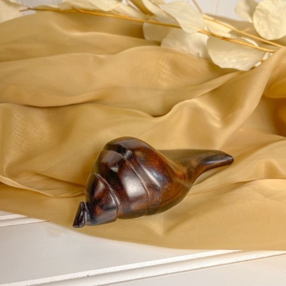 Ironwood‎ Conch Shell